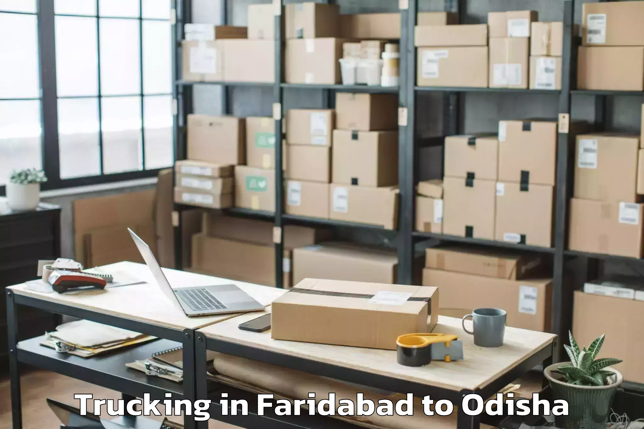 Book Faridabad to Sainkul Trucking Online